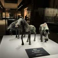 3000 Years of Waiting: My Journey Across 3000 Miles to Visit Handan Museum 