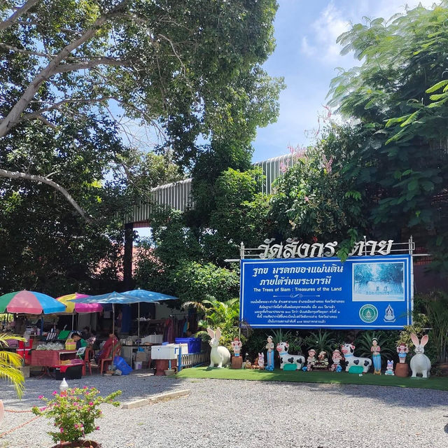 📍 วัดสังกระต่าย อ่างทอง