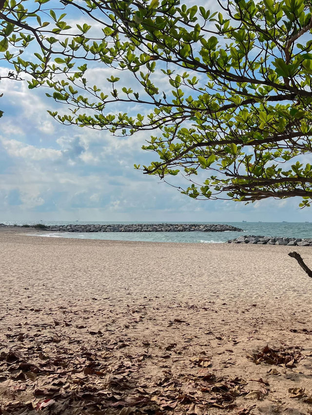 SALT Beach Hotel Rayong 🐚 ที่พักริมน้ำสุดมินิมอล 