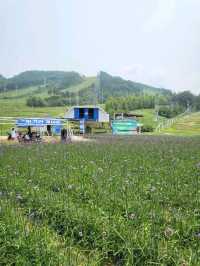 다양한 부대시설 즐기기에 딱이었던 평창리조트