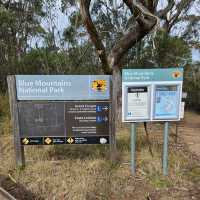 Best Blue Mountains Trail