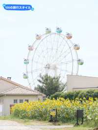 【🌻】入園料無料✨ソレイユの丘！🎡🐄