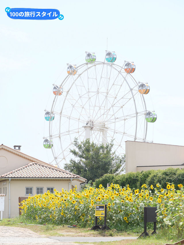 【🌻】入園料無料✨ソレイユの丘！🎡🐄
