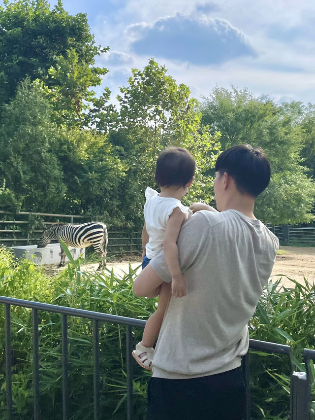 과천 서울대공원 동물원으로 놀러가보자~🎵🦓