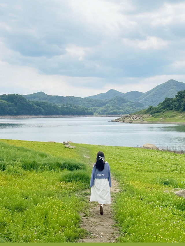 이곳이 바로 한국의 스위스🇨🇭🌿
