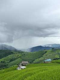 ที่พักป่าบงเปียง | จ.เชียงใหม่ 🏡⛰️🌾🌧️