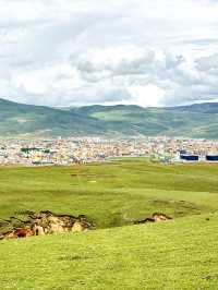 🇨🇳Walking into Oil Painting-LiTang Grassland