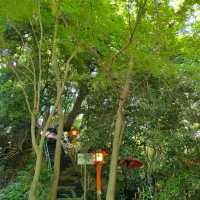 Akamine Camping Ground：綠意滿溢，親近自然的露營樂趣