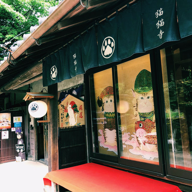 【🇯🇵京都】にゃんにゃんと招かれてやって来た🐈
