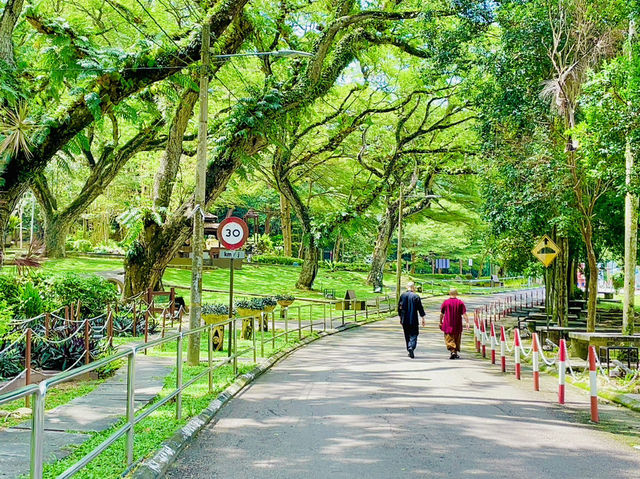 It’s the perfect spot to unwind and connect with nature🇲🇾