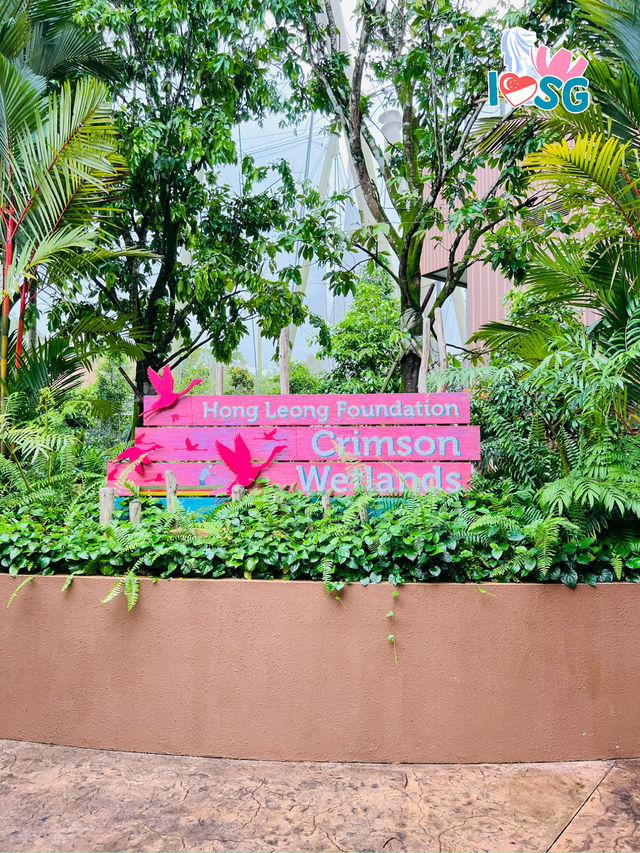 🇸🇬 Crimson Wetlands