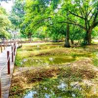 🇰🇭 Choeung Ek: A Somber Reminder of Cambodia's Dark Past