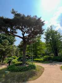순천만 국가정원은 꼭 가봐야해요~ ⛲️