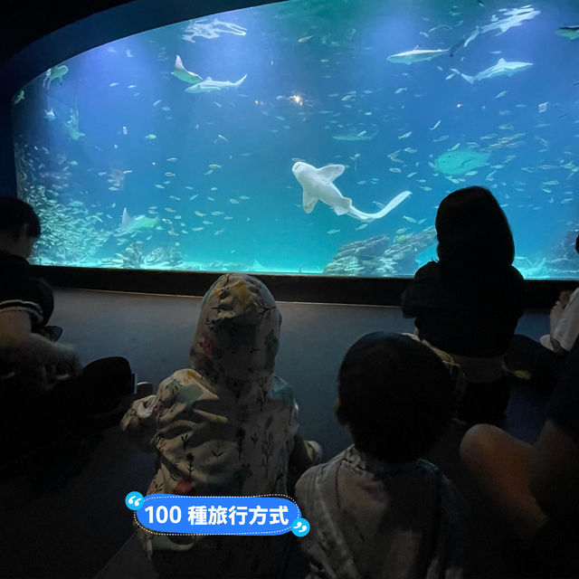 帶著二個小孩的大邱4天3夜遊
