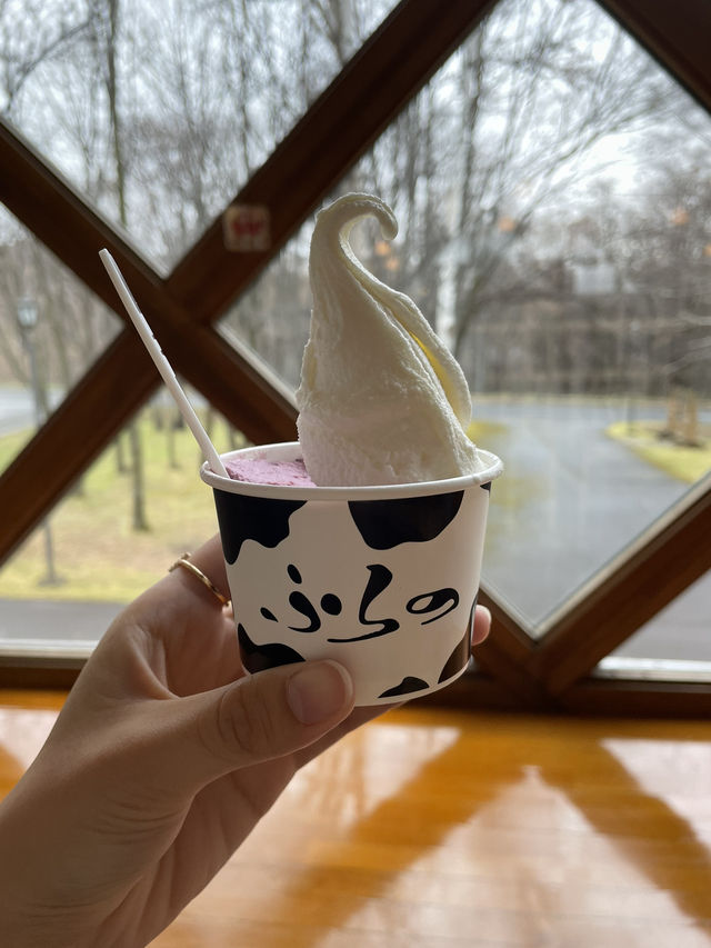 【北海道】有名観光地を巡るバスツアー🚌