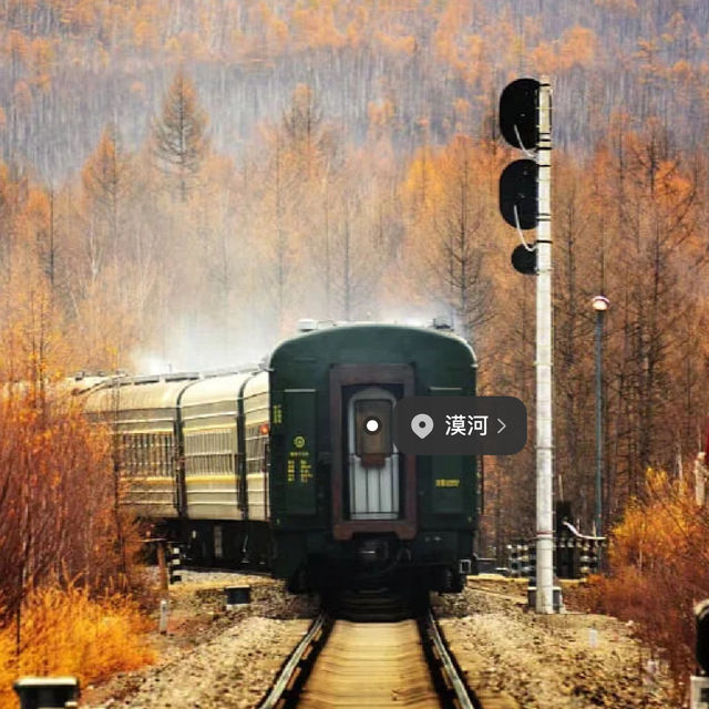 Autumn in Mohe 🍂