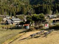🏞 美山町・合掌村 - 時代を超える日本の原風景🏞