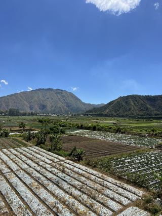Breathtaking Views of Sembalun in Lombok 🇮🇩