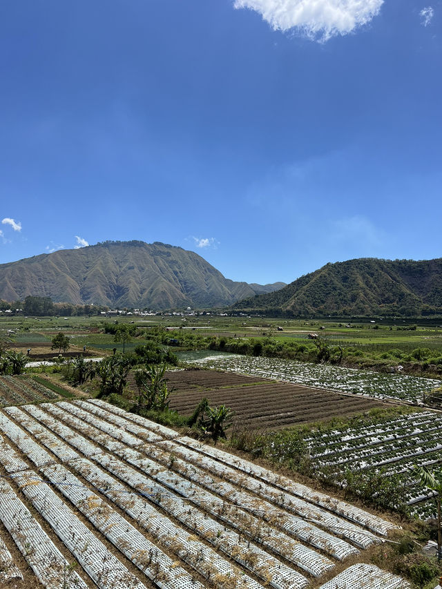 Breathtaking Views of Sembalun in Lombok 🇮🇩