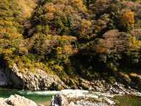 [德島] 大步危峽谷的遊船