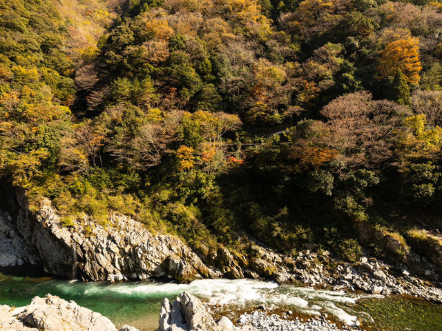 [德島] 大步危峽谷的遊船