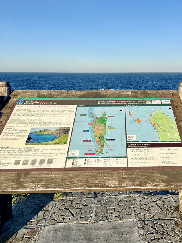 【北海道絶景スポット】礼文島澄海岬✨