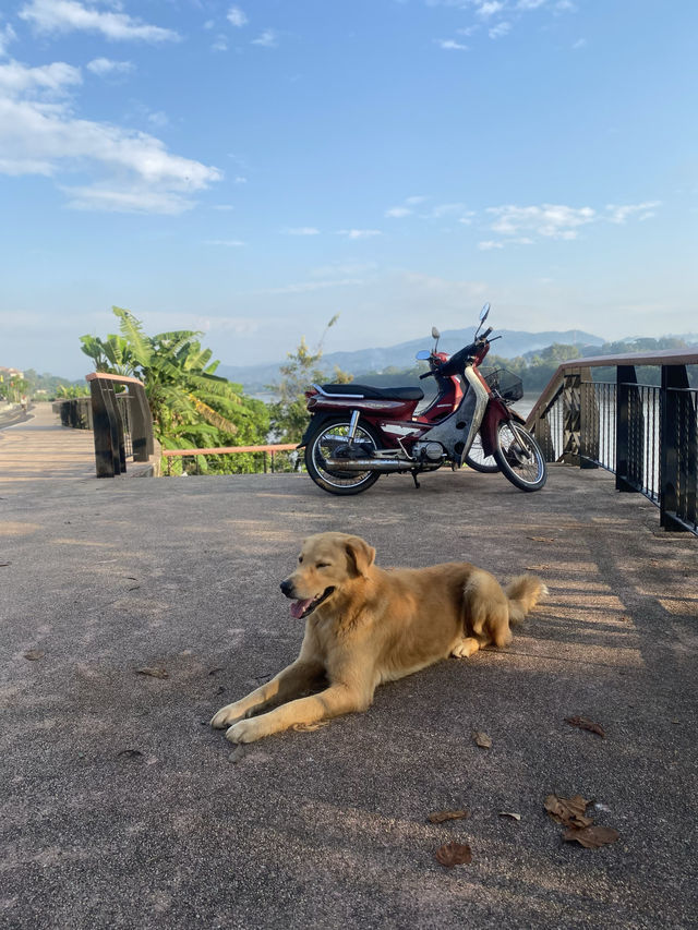 ริมฝั่งโขงเชียงของ | จ.เชียงราย 🚲🏡⛰️✨