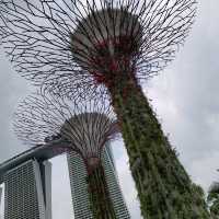 OCBC SKY WAY♪♪