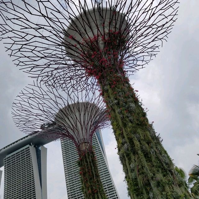 OCBC SKY WAY♪♪