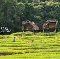 นาขั้นบันได บ้านป่างเปียง เชียงใหม่