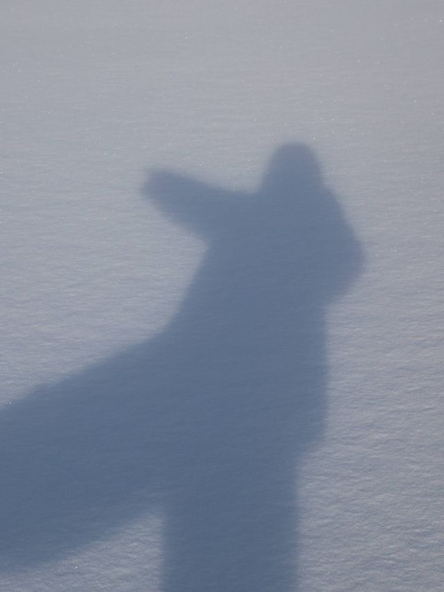 【バーナビー🇨🇦】カナダの田舎で雪景色を❄️