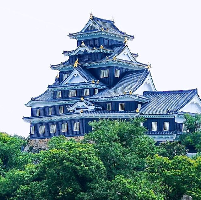 岡山城