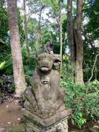 A Morning Adventure with Playful Monkeys in Ubud’s Sacred Monkey Forest