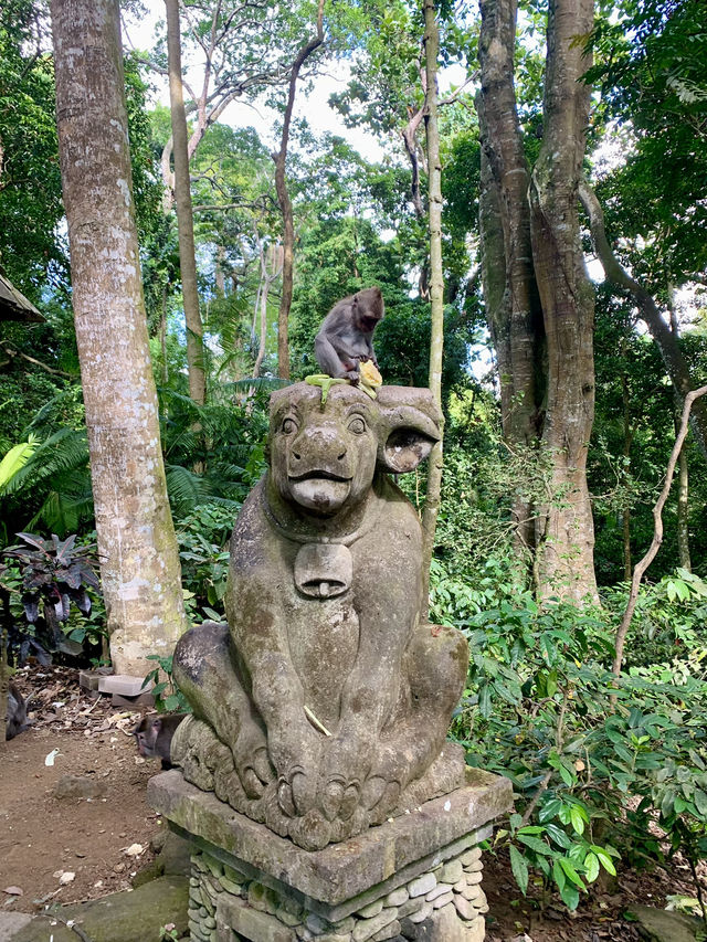A Morning Adventure with Playful Monkeys in Ubud’s Sacred Monkey Forest