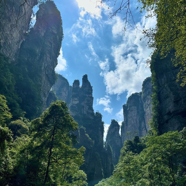 Zhangjiajie National Park( Avatar Mountains) 