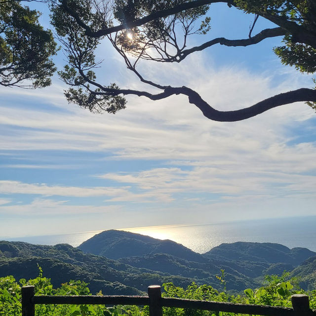 福岡 大島