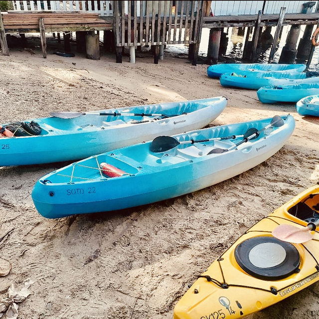 Kayaking Adventure in Pulau Ubin Mangroves