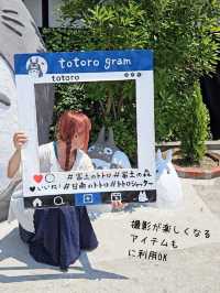 【宮崎】リアルジブリの世界『富土のトトロ』⁡⁡
