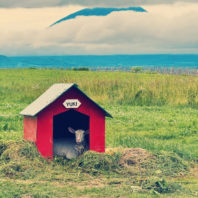 Lake Hill Farm, Hokkaido