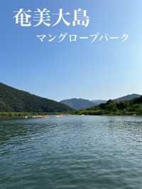 【奄美大島】マングローブパーク