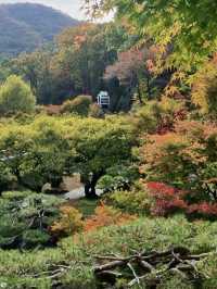 🍁고즈넉한 오솔길을 따라 단풍의 향연을 감상할 수 있는 ✨가을 여행지 추천 🍁