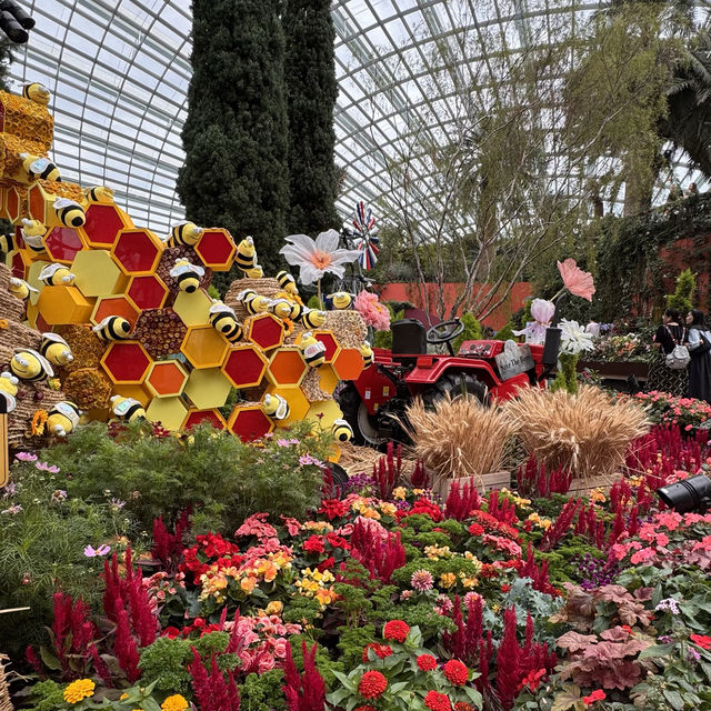 Nature's Palette: Discovering the Latest Blooms at Gardens by the Bay