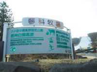 ลานสกี Yatsugatake chushin Hiland