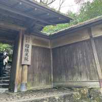 【日本・京都🇯🇵】京都の秋！美しい紅葉を見るならここ！