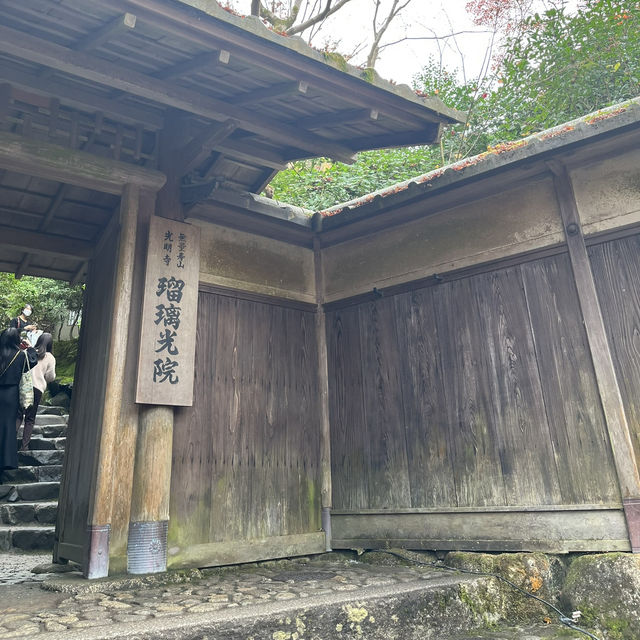 【日本・京都🇯🇵】京都の秋！美しい紅葉を見るならここ！