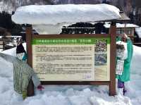 【岐阜県・白川】世界遺産 x 雪景色⛄️
