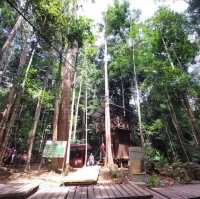 Planning a Camping Adventure in Taman Negara National Park