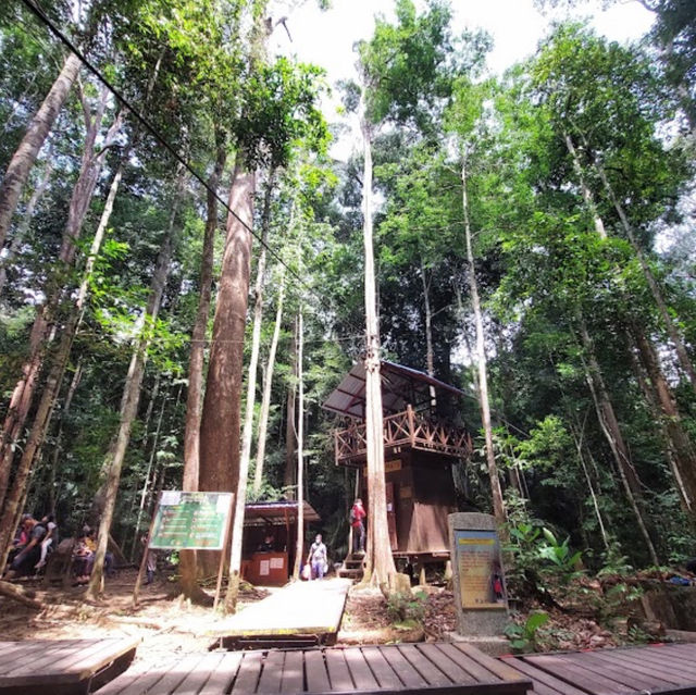 Planning a Camping Adventure in Taman Negara National Park