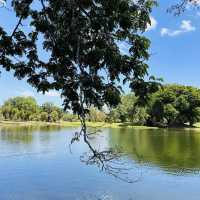 Nature’s Beauty and Timeless Charm: My Day at Taman Tasik Taiping!