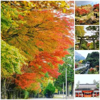 英彦山、九州の第一修練霊場。